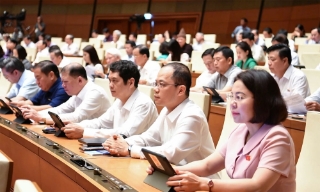 Thuế đất nông nghiệp được miễn tiếp 5 năm