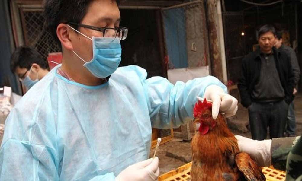 Thông tin về ca mắc cúm A(H9) đầu tiên tại Việt Nam