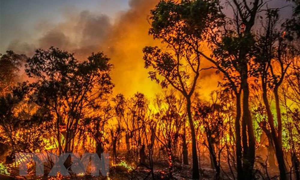 Thủ tướng yêu cầu tăng cường triển khai các biện pháp phòng cháy, chữa cháy rừng