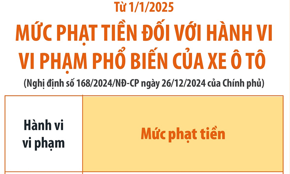  Mức phạt vi phạm với xe ô tô từ 1/1/2025