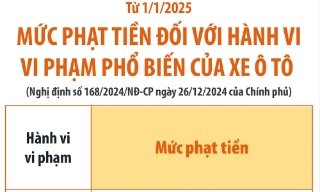 Mức phạt vi phạm với xe ô tô từ 1/1/2025