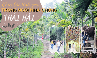 Chín bậc tình yêu trong ngôi nhà chung Thái Hải