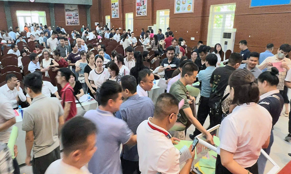  Tân Yên: Đấu giá thành công 33 lô đất ở, giá cao hơn 2 lần so với khởi điểm