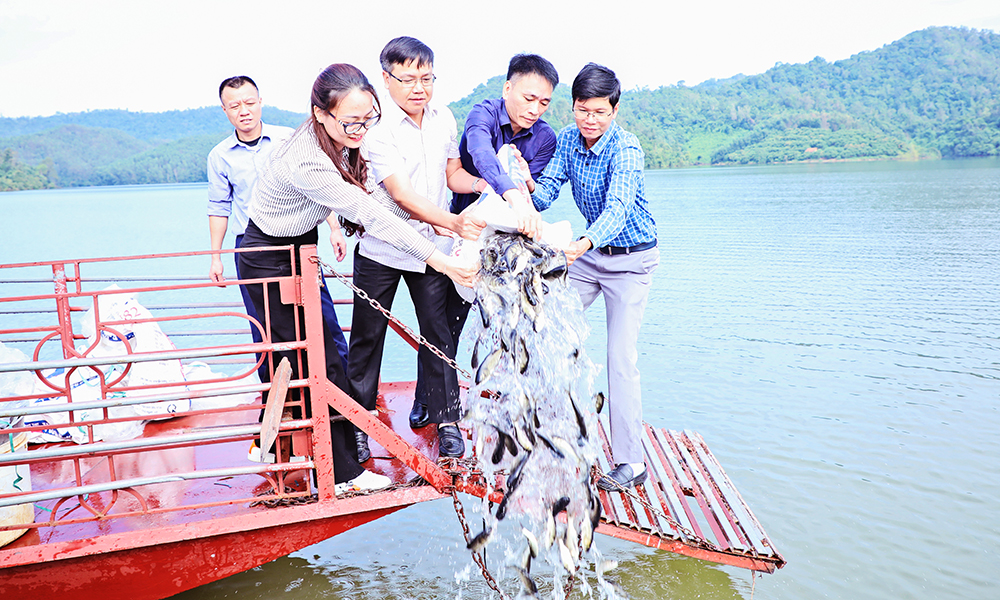  Tái tạo nguồn lợi thủy sản