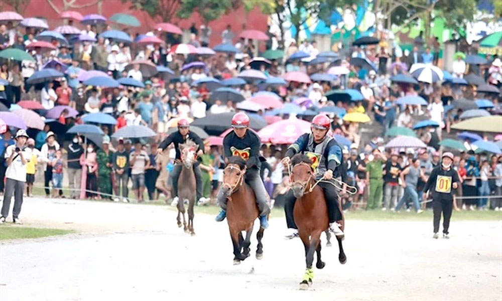 Bac Ha's white plateau festival attracts thousands of tourists