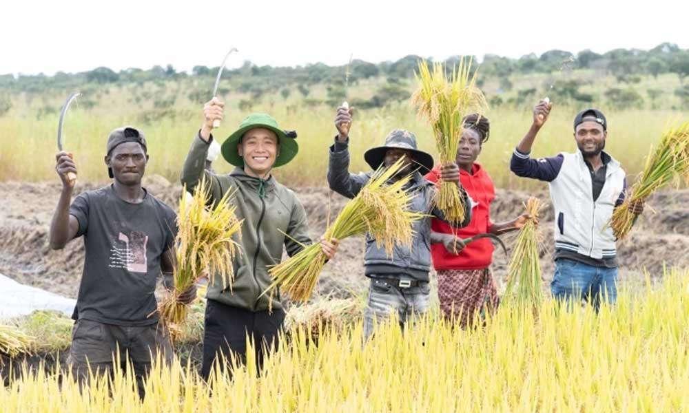 Vietnamese vlogger who teaches African communities how to grow wet rice