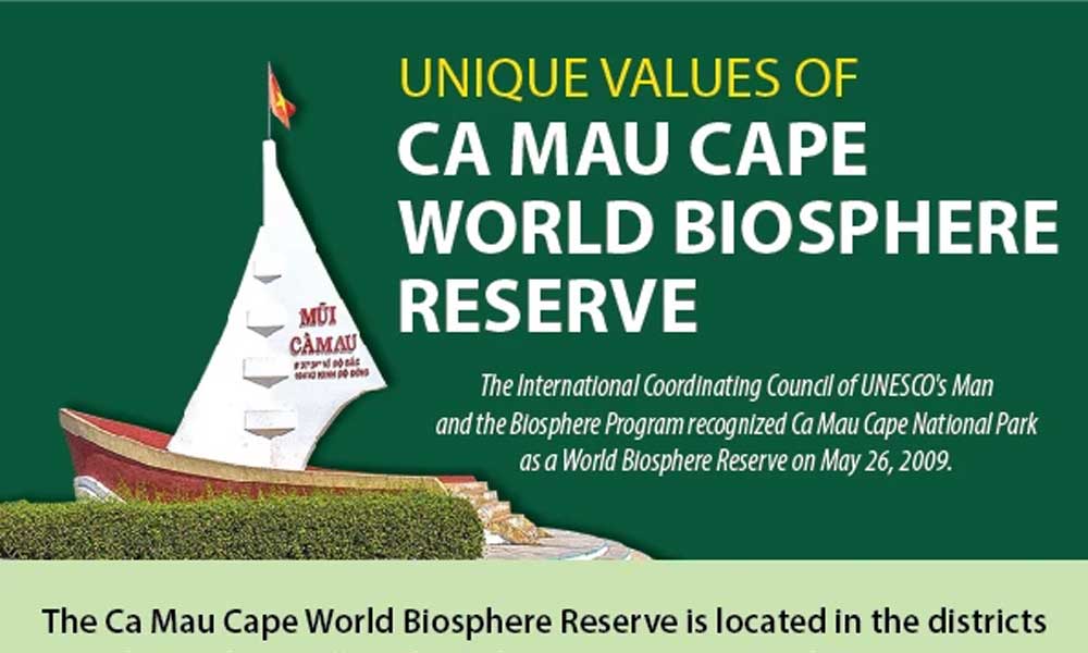 Unique values of Ca Mau Cape World Biosphere Reserve