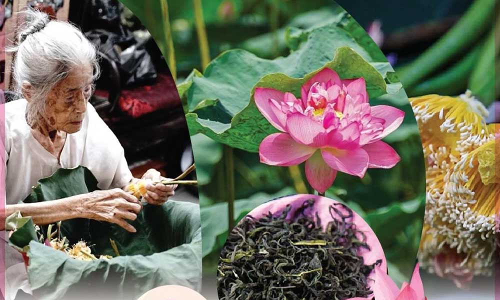 Quang An lotus-scented tea making craft listed among national intangible cultural heritage