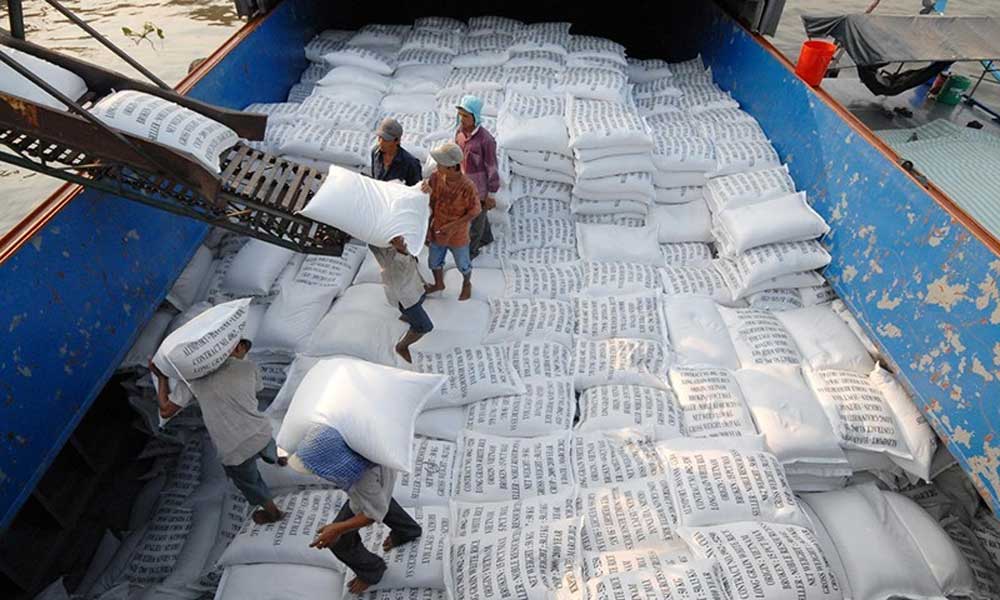 Vietnam's rice export turnover up 23.5% in nine months