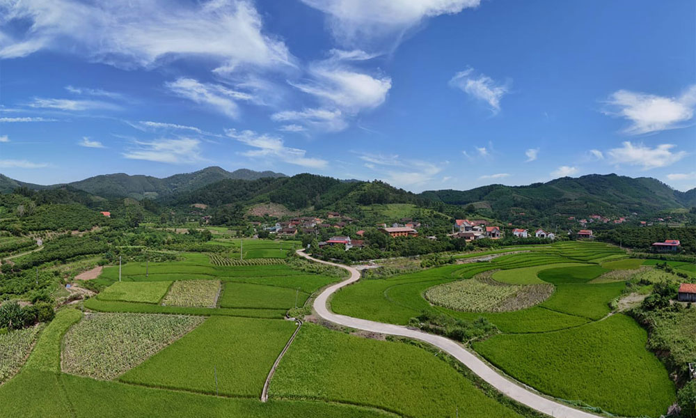 Visit Bac Hoa hamlet in Bac Giang