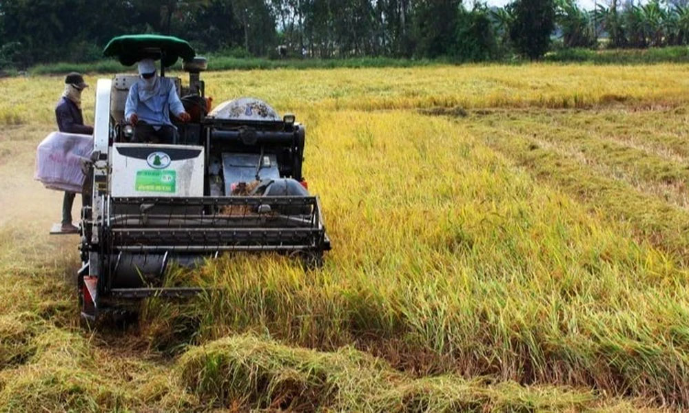 Increasing investment in high-quality, low-emission rice production