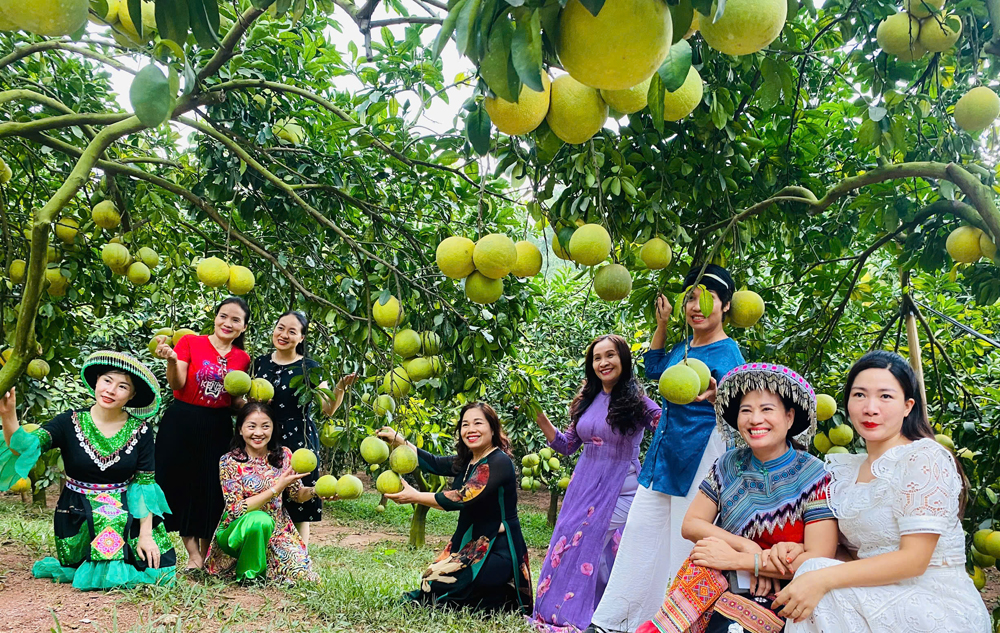 Luc Ngan readies to welcome tourists in orange and pomelo season.