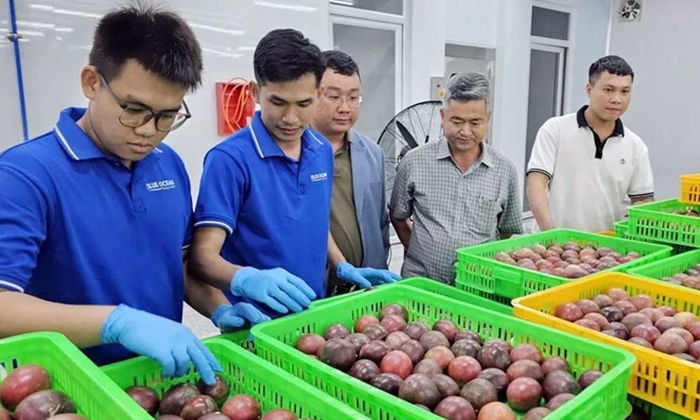 First Vietnamese enterprise exports passion fruit to Australia