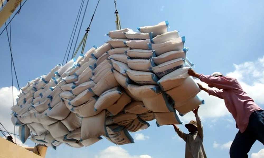 Vietnam still dominates Philippine rice import