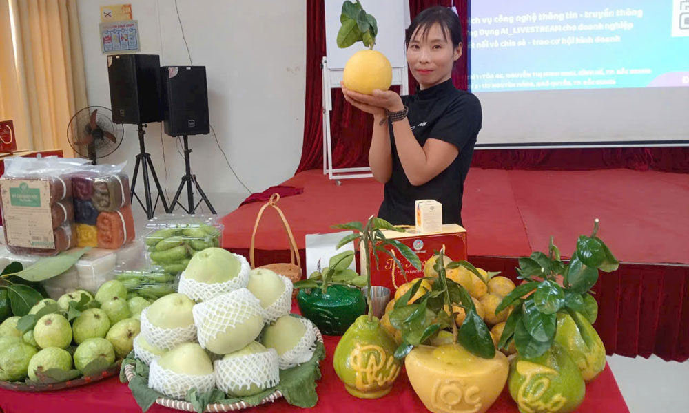 Bac Giang’s pomelo enjoy high selling prices 