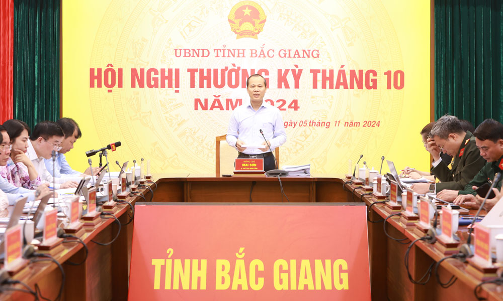 Bac Giang strives to fulfill tasks, targets in 2024