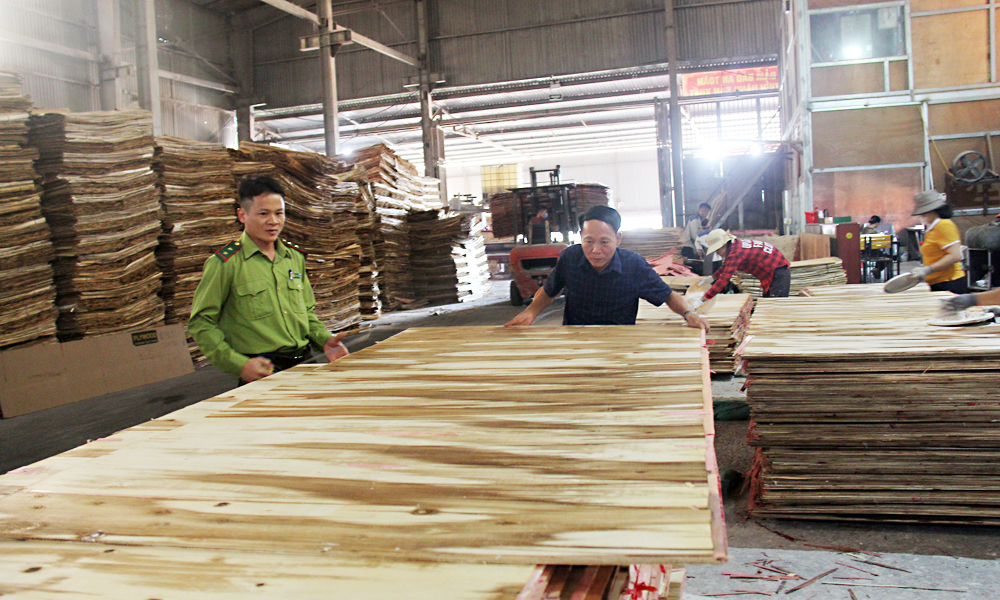 Wood exports likely to top 16 billion USD this year