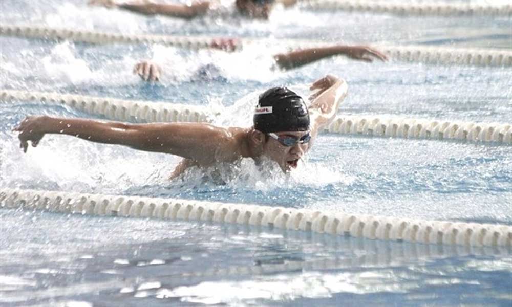 Swimmers, divers win golds at regional age groups championships