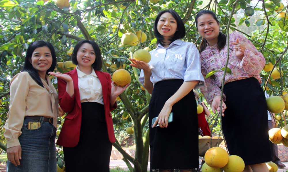 Luc Ngan Tourism Week 2024 offers many attractive garden experiences