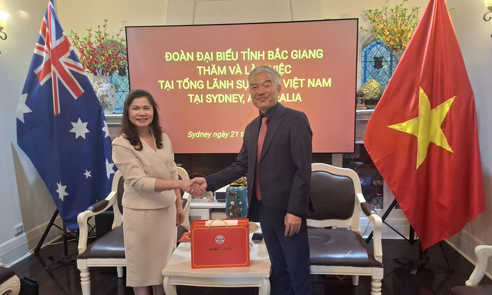 Delegation of Bac Giang Provincial People's Council works with Consulate General of Vietnam in Sydney, Australia