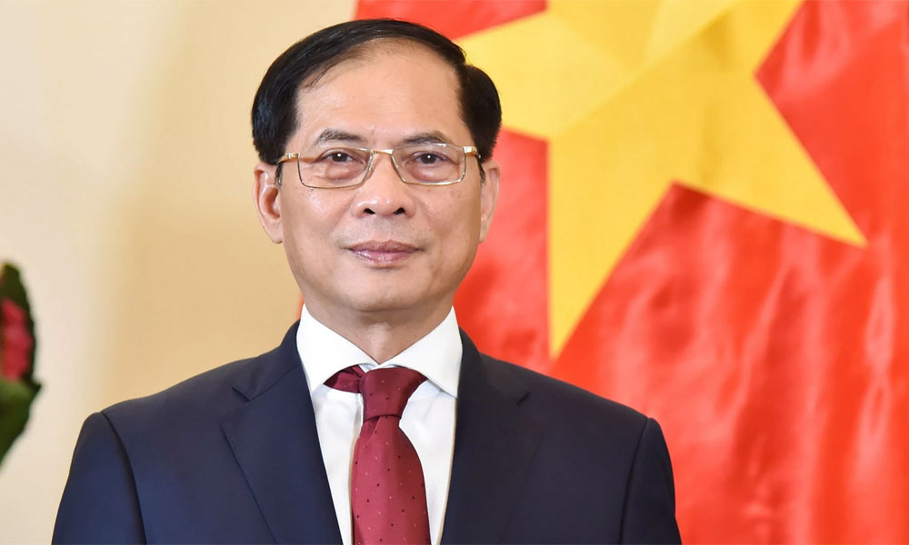 Diplomatic achievements in 2024 set stage for Vietnam's new era: Deputy PM