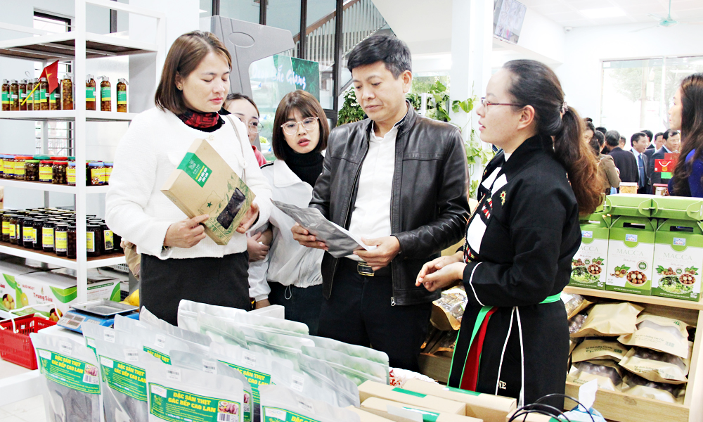 Bac Giang develops consuming system for cooperative products