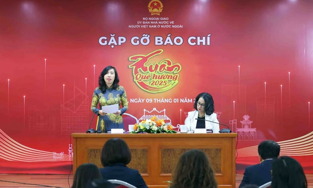 Overseas Vietnamese maintain contributions to their homeland: Deputy FM