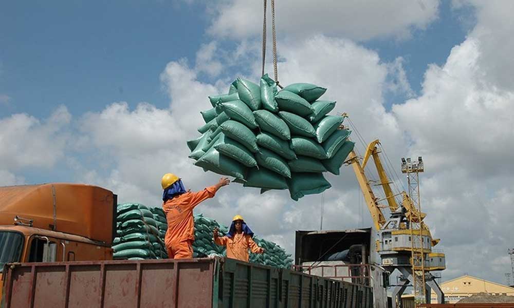 Vietnam’s rice exports to Singapore post strong growth