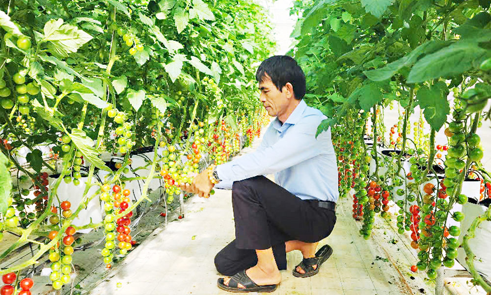 Sowing green seeds in the red land