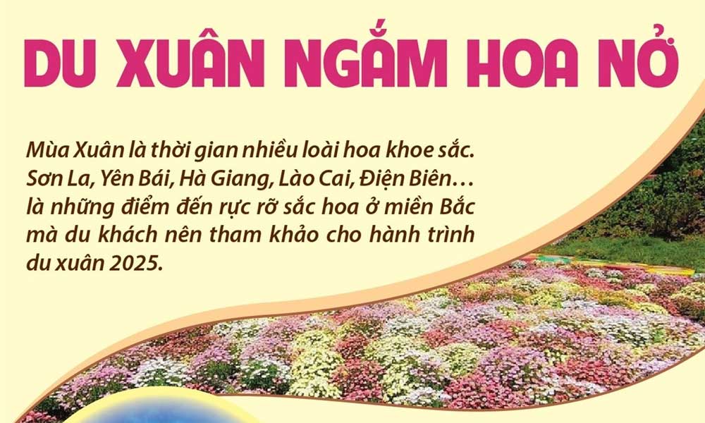  Những điểm đến hấp dẫn cho hành trình du xuân ngắm hoa nở