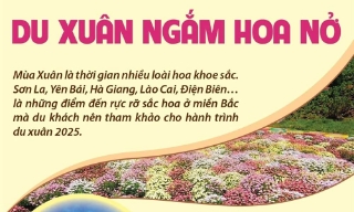 Những điểm đến hấp dẫn cho hành trình du xuân ngắm hoa nở