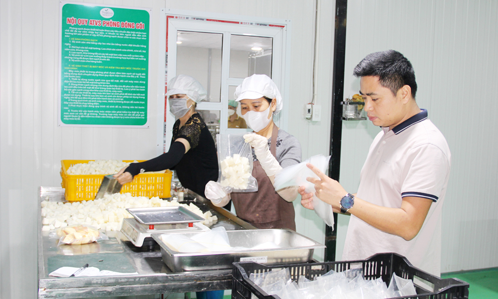 Bac Giang boosts staple products 