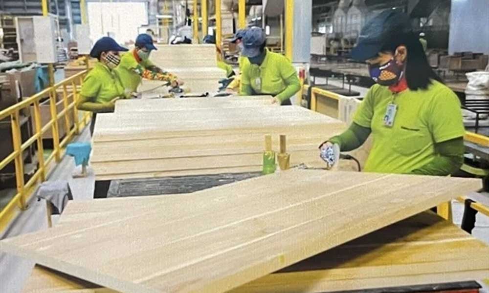 Wood exports reach over 2.5 billion USD in two months