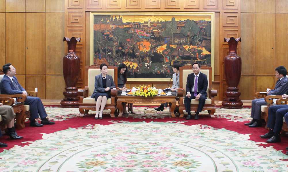 Vice Chairman of provincial People's Committee receives CEO of China’s Pacific Construction Group