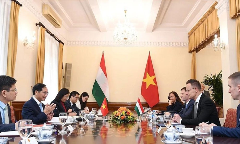 Vietnam, Hungary look for stronger multifaceted cooperation