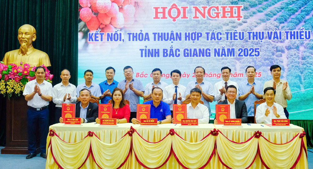 Diversifying sales channels to boost lychee market reach