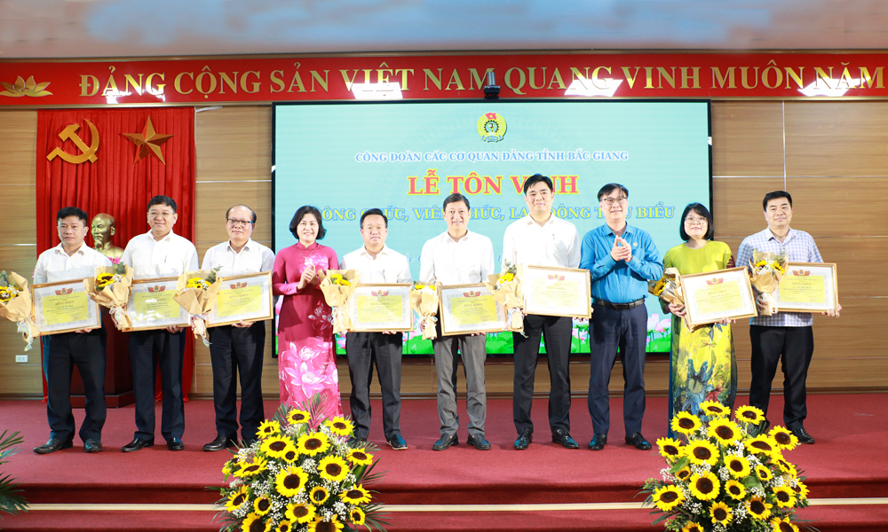 Bac Giang honors 62 outstanding public employees