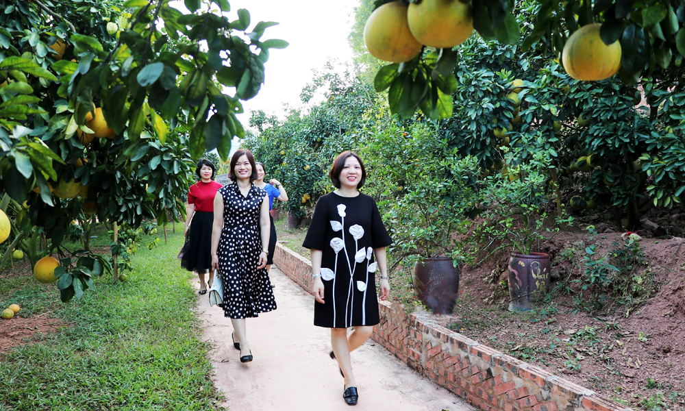 Boosting the participation of agricultural cooperatives in value chains