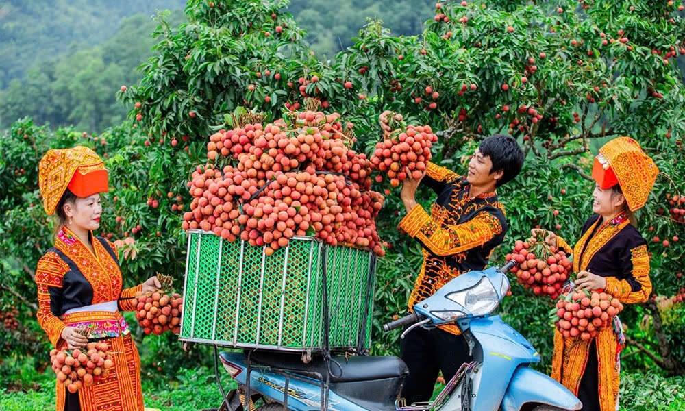 Bac Giang destinations make renovations to attract tourists in summer