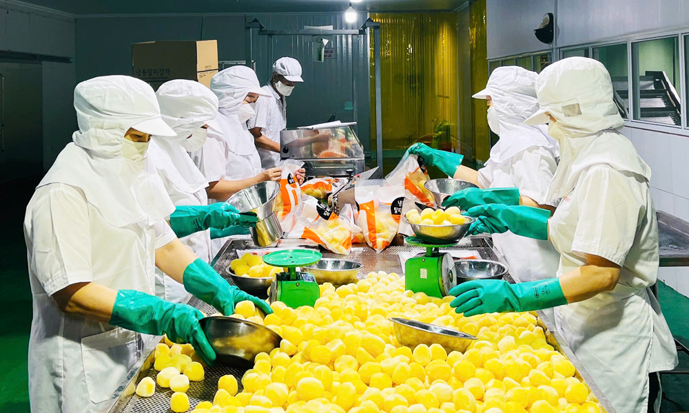 Lessons learnt from Bac Giang’s growth and bottlenecks