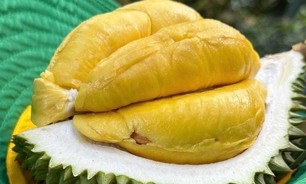 Vietnam ships first batch of frozen durians to China