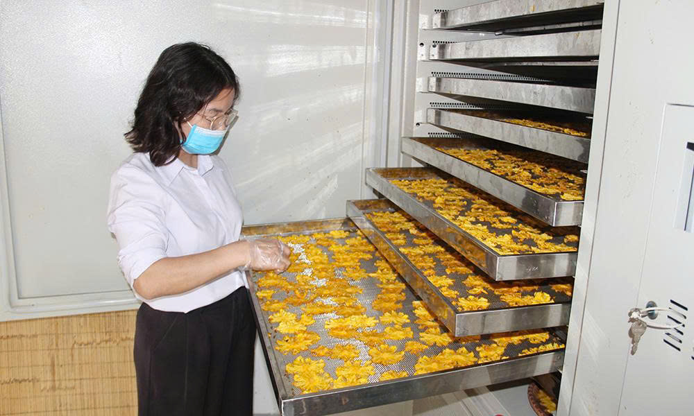 Bac Giang disburses 2.18 million USD to support agro-forestry and aquaculture production