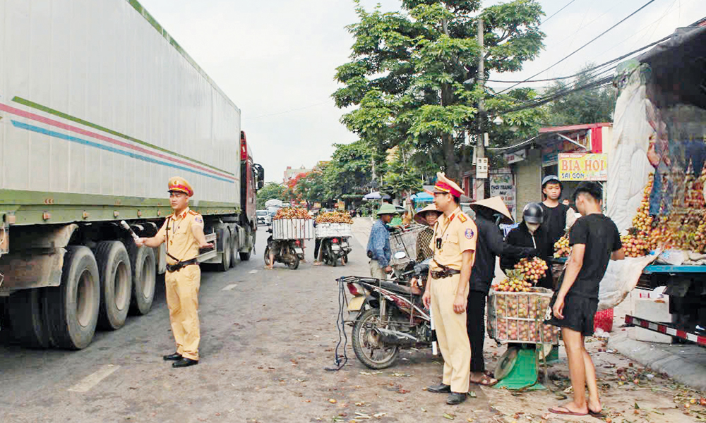 Chu Township ensures security, order and traffic safety during lychee season