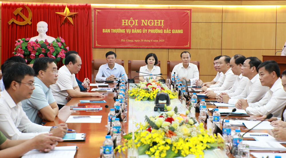 New grassroots government system piloted in Bac Giang 