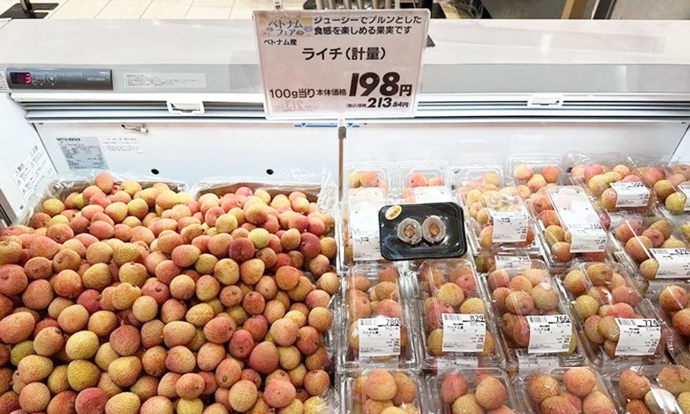 Vietnam Goods Week opens in Japan’s Saitama prefecture