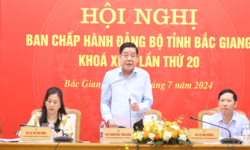 Bắc Giang: Phấn đấu hoàn thành kế hoạch năm 2024 và chuẩn bị tốt đại hội đảng bộ các cấp