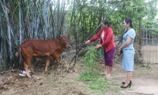 Phát huy hiệu quả các mô hình, dự án giảm nghèo ở Lan Giới