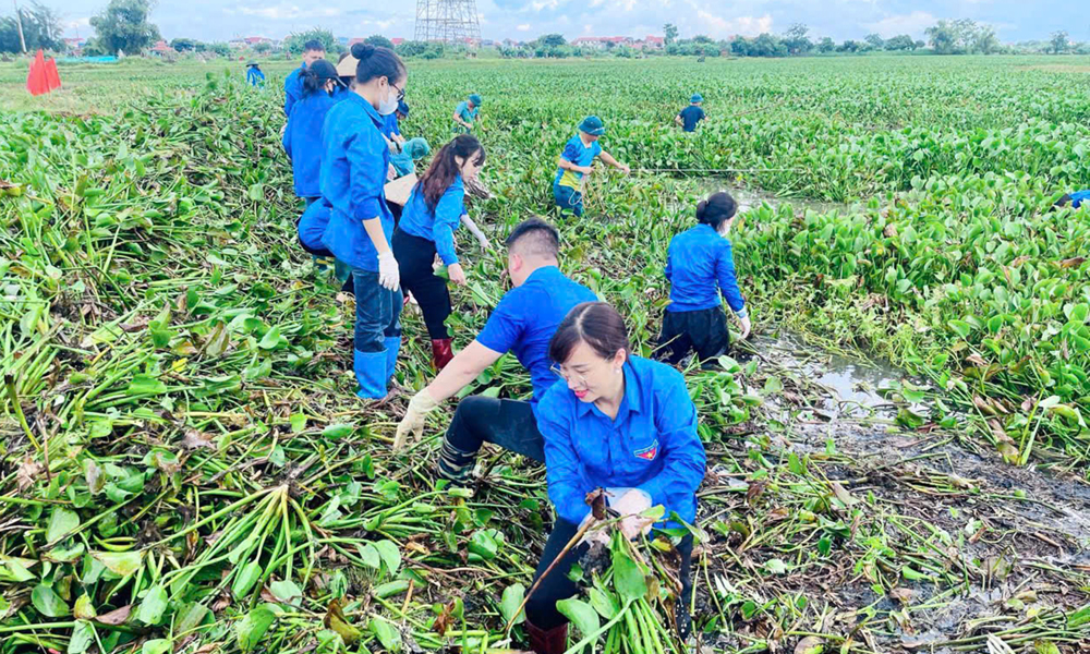  Đảng bộ Hiệp Hòa: Nhân rộng mô hình tiêu biểu học và làm theo Bác