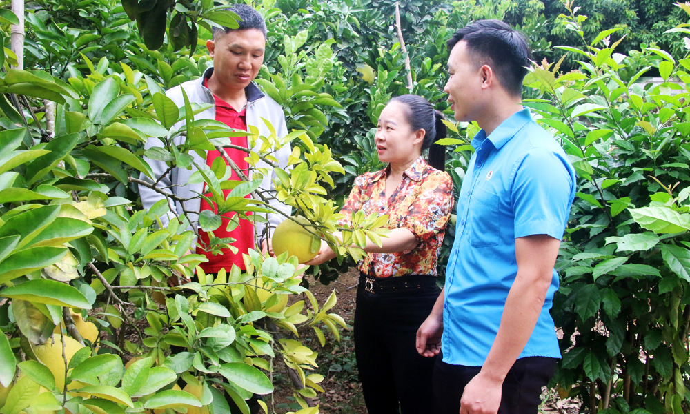 Trưởng thôn, tổ trưởng tổ dân phố là đảng viên:  Quy tụ, thực hiện tốt  nhiệm vụ ở cơ sở 