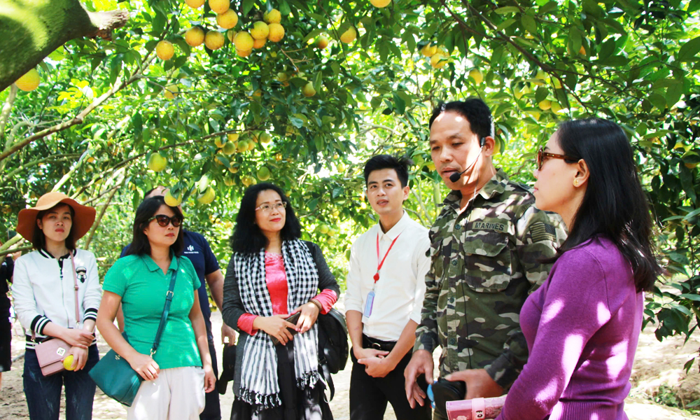  Đột phá tái cơ cấu nông nghiệp - Giảm rủi ro, phát triển bền vững: Bài 3 - Những điểm nghẽn cần vượt qua và bài học từ thực tiễn